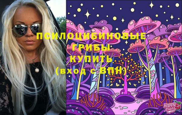 гидра Горнозаводск