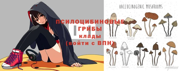 mdma Гусь-Хрустальный