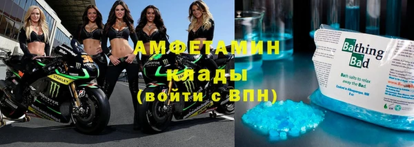 ГАЛЛЮЦИНОГЕННЫЕ ГРИБЫ Гусев