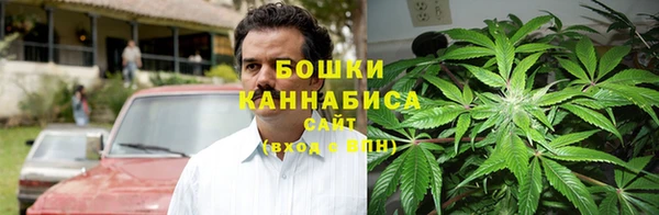 гидра Горнозаводск