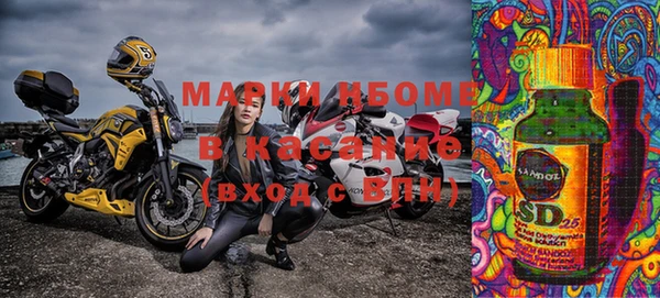 ГАЛЛЮЦИНОГЕННЫЕ ГРИБЫ Гусев