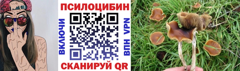 Псилоцибиновые грибы GOLDEN TEACHER  Коряжма 